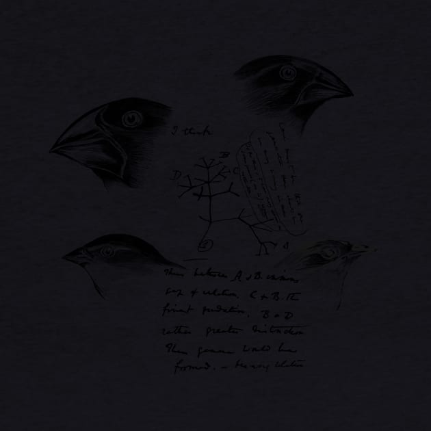 Darwin’s Finches by hereticwear